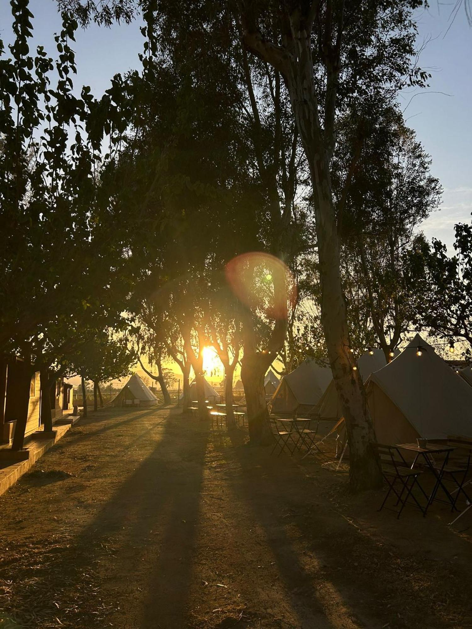 Camping Delta Natura La Tancada Amposta Esterno foto
