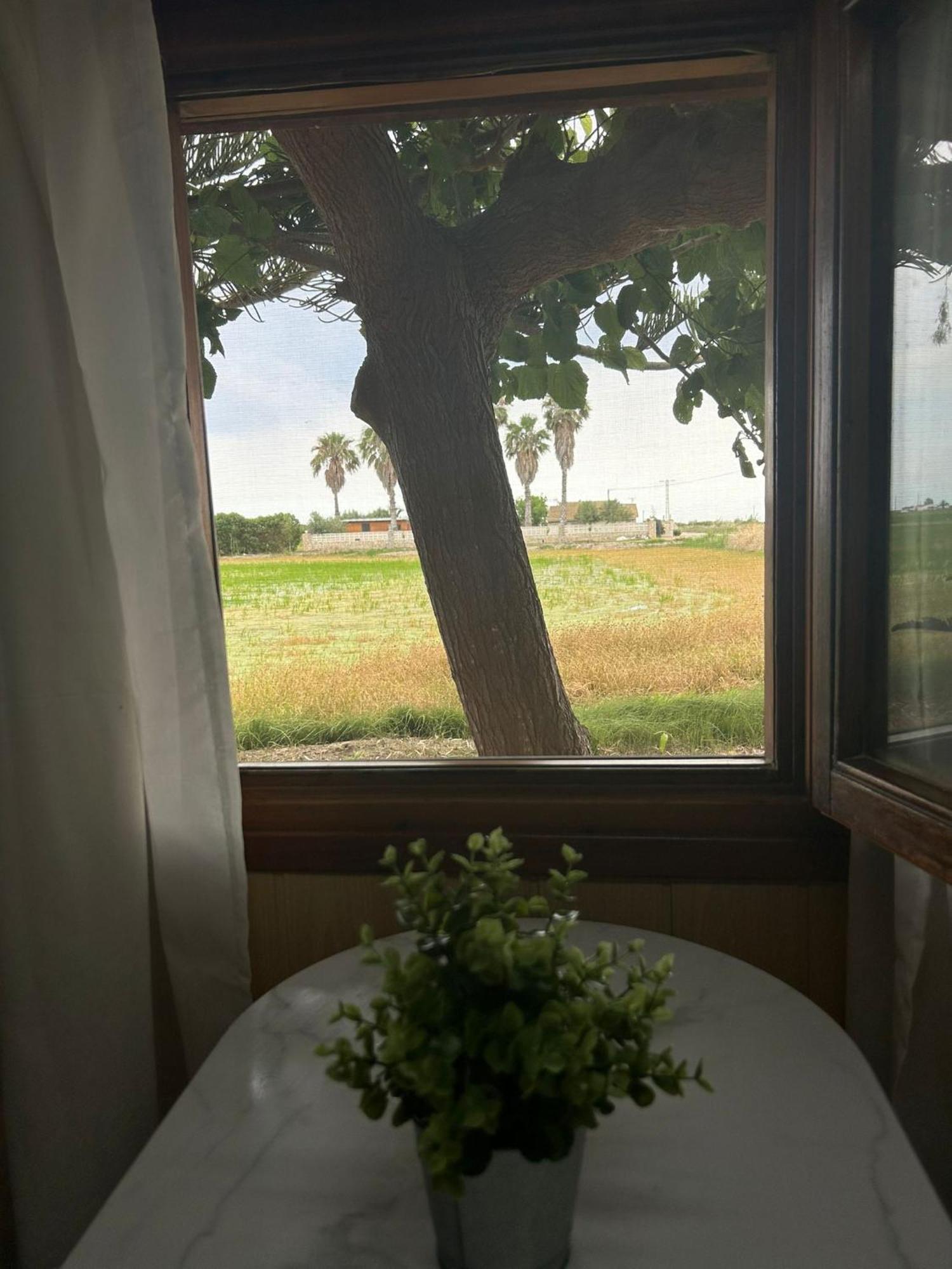 Camping Delta Natura La Tancada Amposta Esterno foto